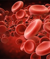 blood platelets